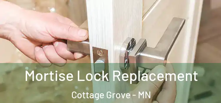 Mortise Lock Replacement Cottage Grove - MN